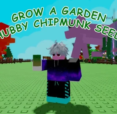 chinchilla grow a garden
