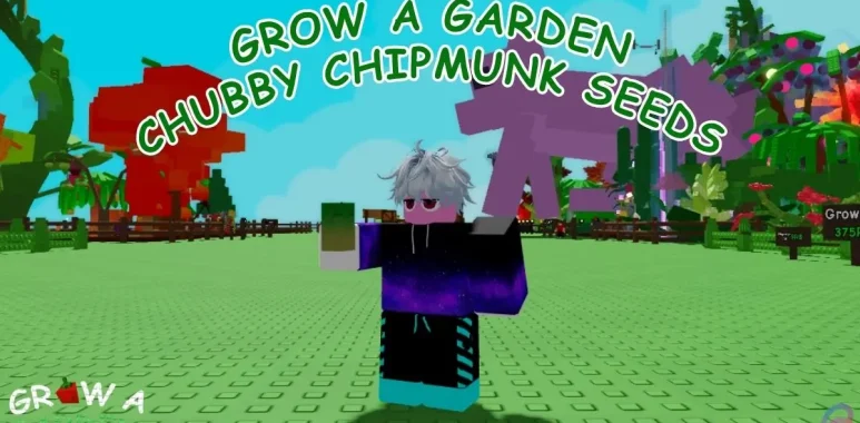 chinchilla grow a garden