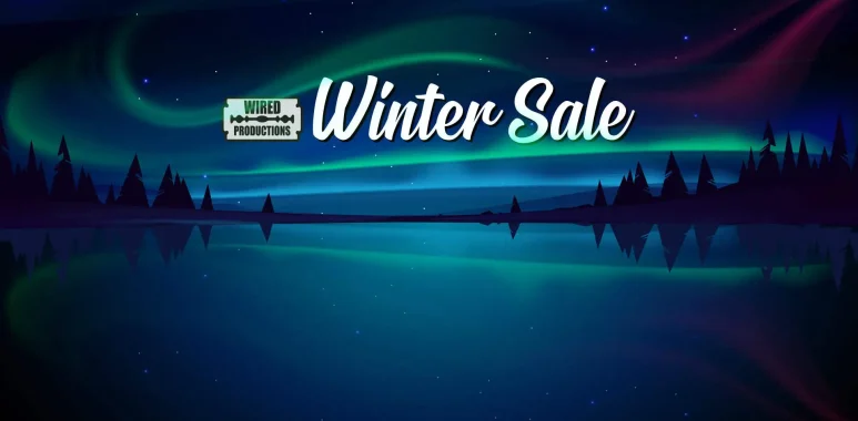 steam winter sale 2025